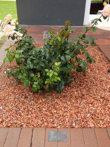 30-November-2013 30-November-2013