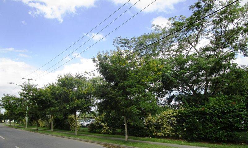 22-January-2015 22-January-2015