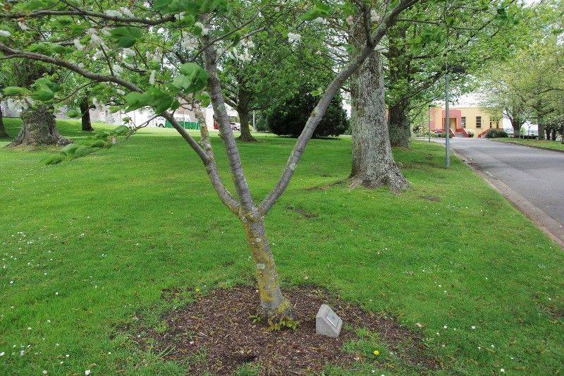 17-October-2016 [Peter Williams]