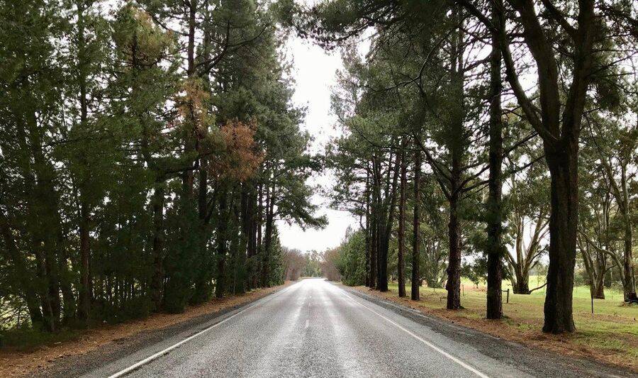 21-July-2020 21-July-2020