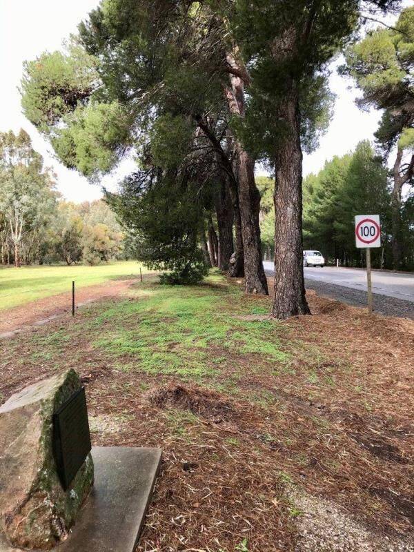 21-July-2020 21-July-2020