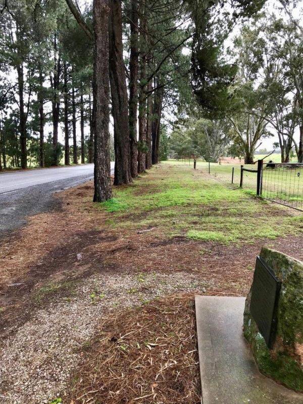 21-July-2020 21-July-2020