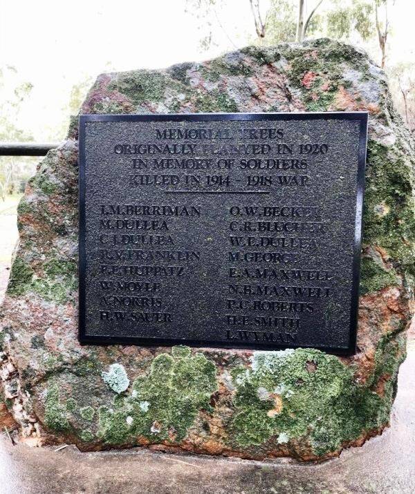 21-July-2020 21-July-2020