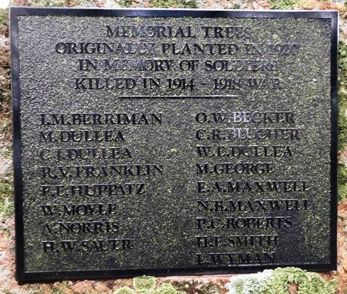 21-July-2020 21-July-2020