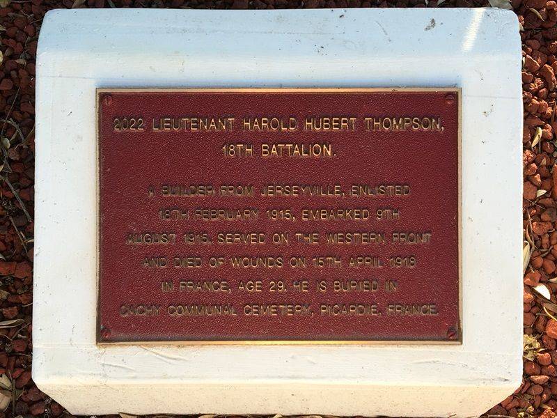 17-May-2019 17-May-2019