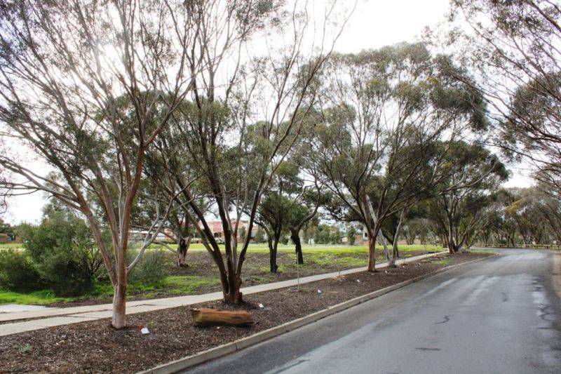 08-August-2016 (Roger Johnson)