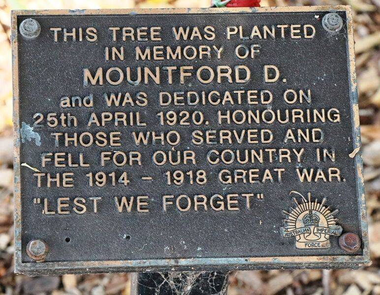 24-November-2020 24-November-2020