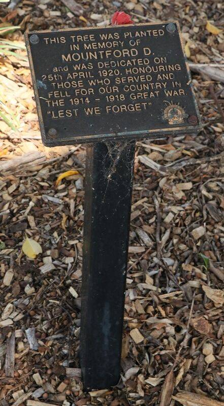 24-November-2020 24-November-2020