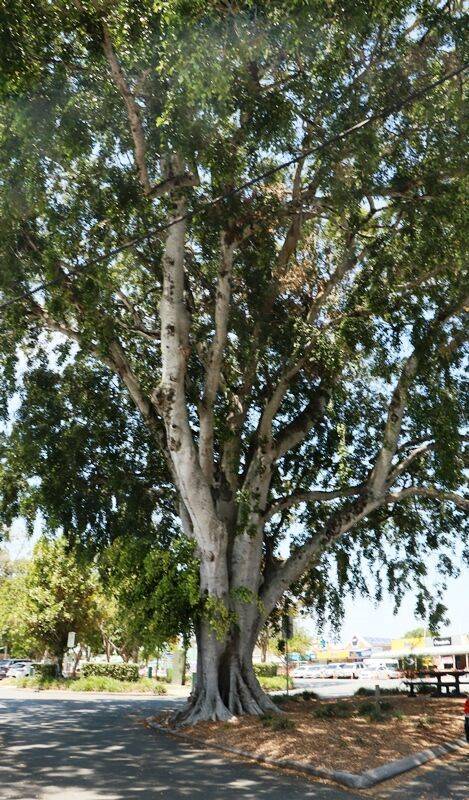 24-November-2020 24-November-2020