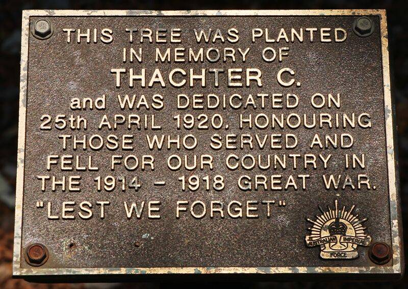 24-November-2020 24-November-2020