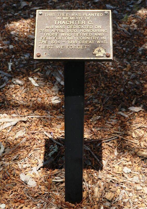 24-November-2020 24-November-2020