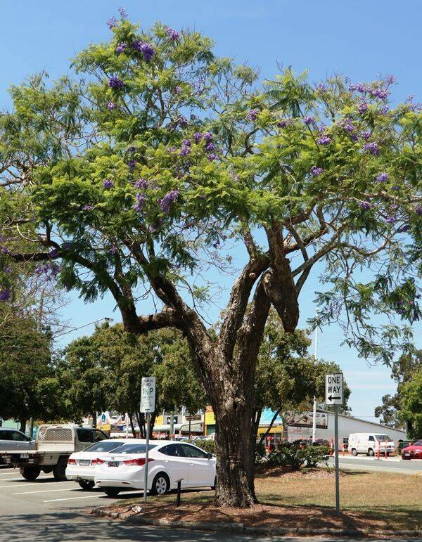 24-November-2020 24-November-2020