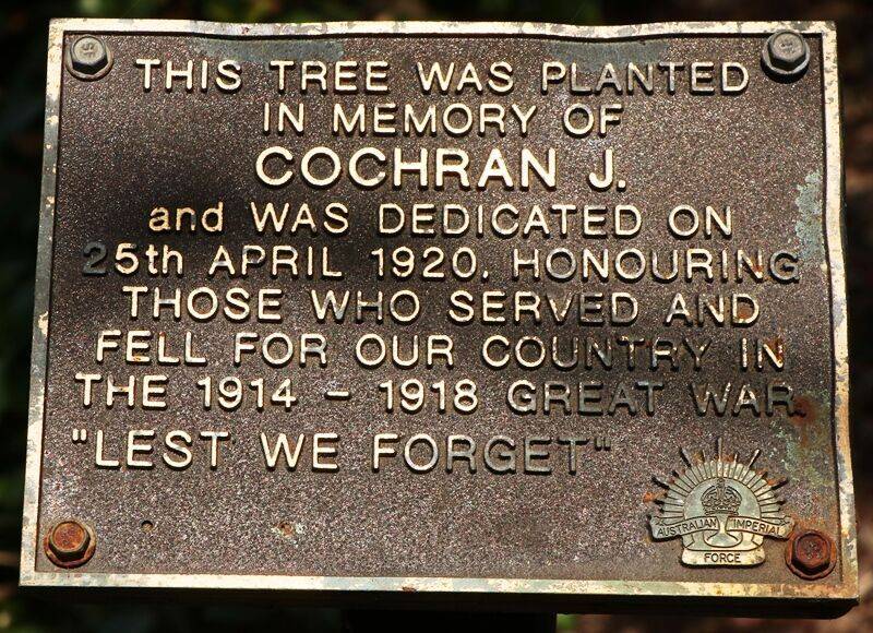 24-November-2020 24-November-2020