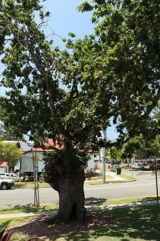 24-November-2020 24-November-2020