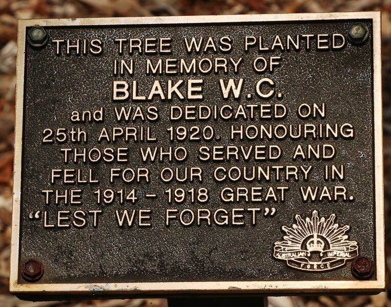 24-November-2020 24-November-2020