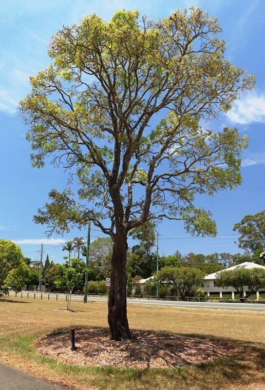 24-November-2020 24-November-2020