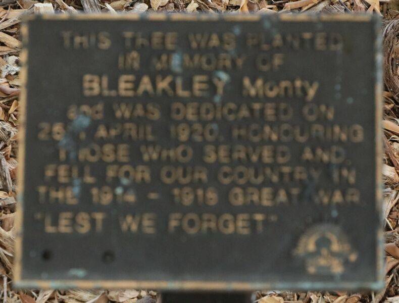 24-November-2020 24-November-2020