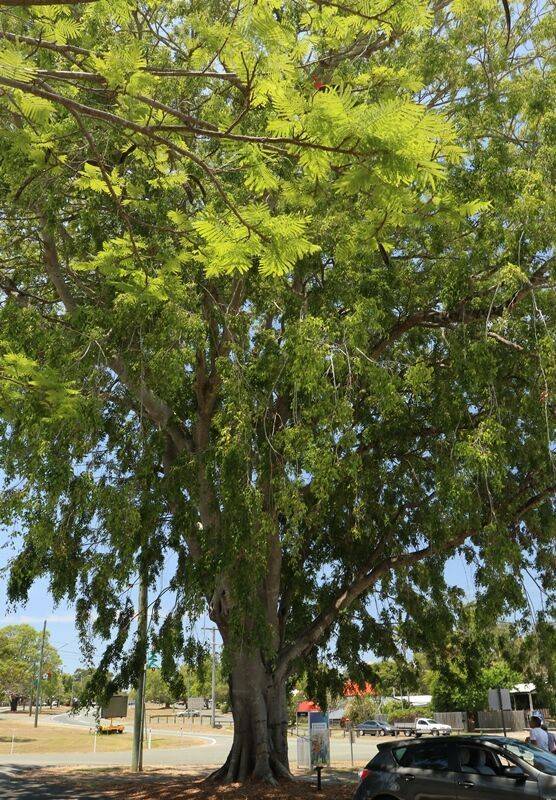 24-November-2020 24-November-2020