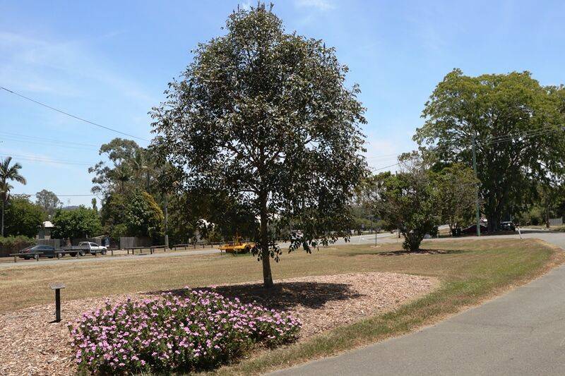 24-November-2020 24-November-2020