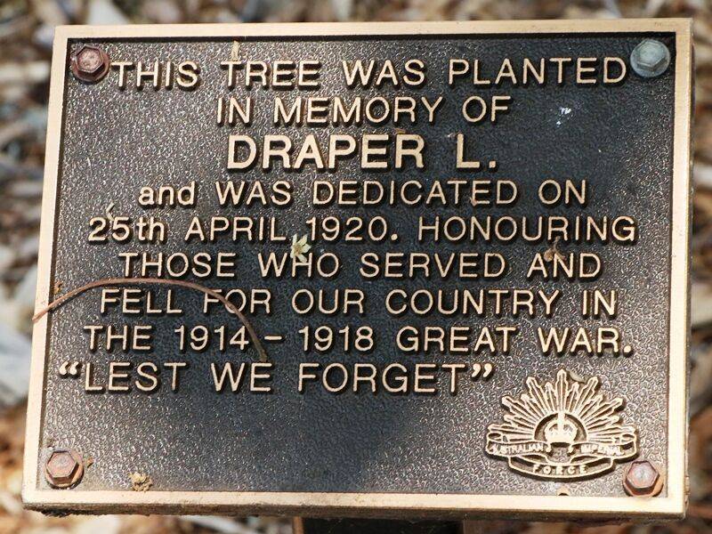 24-November-2020 24-November-2020