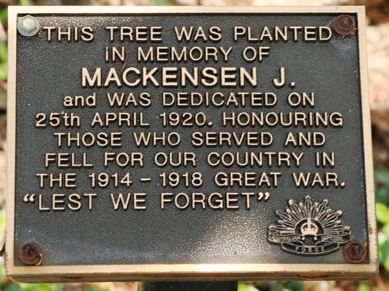 24-November-2020 24-November-2020