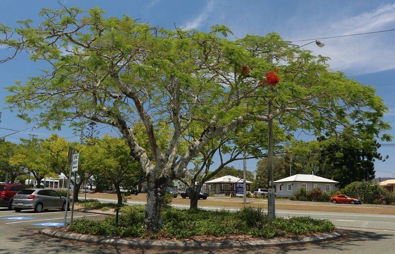 24-November-2020 24-November-2020