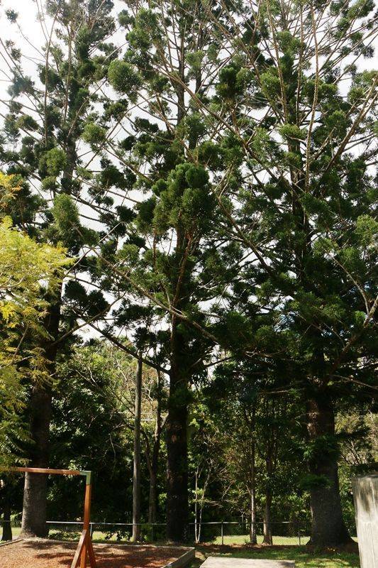 13-September-2016 13-September-2016