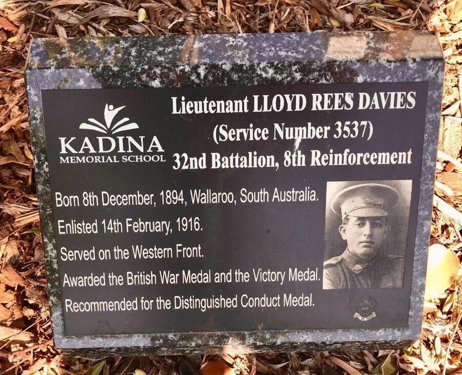 12-November-2020 12-November-2020