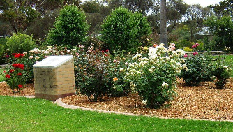 19-November-2015 19-November-2015