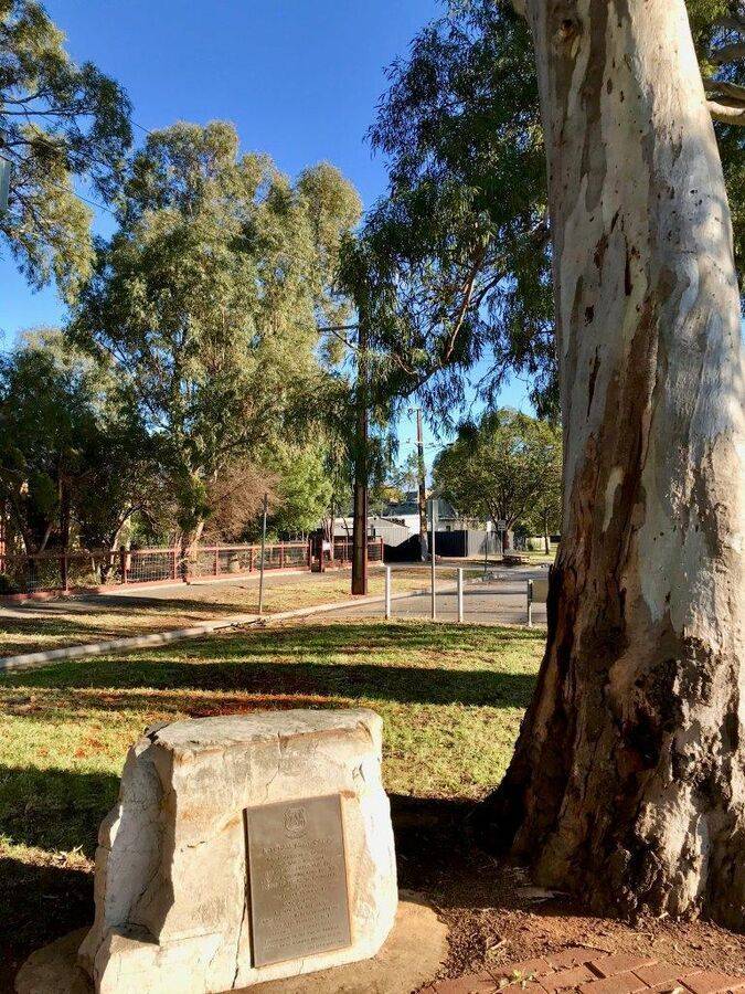 17-November-2020 17-November-2020