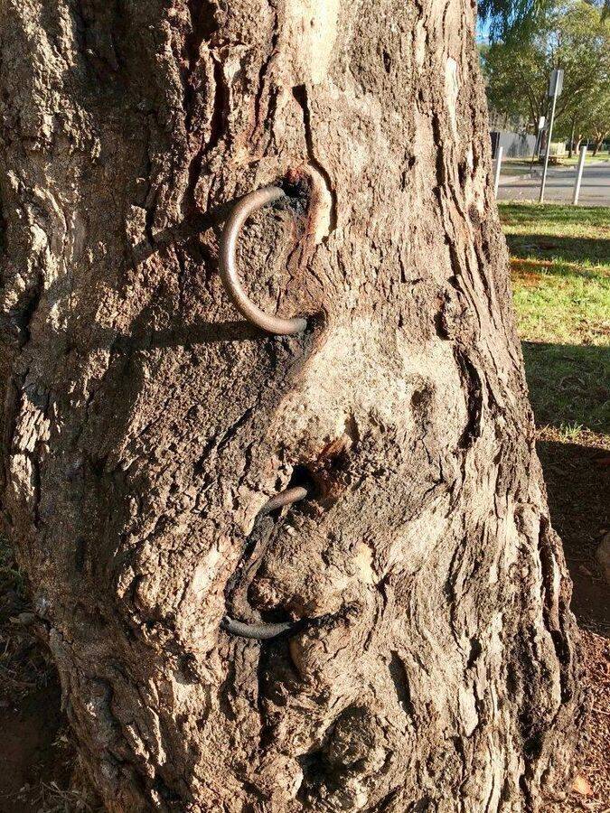 17-November-2020 17-November-2020