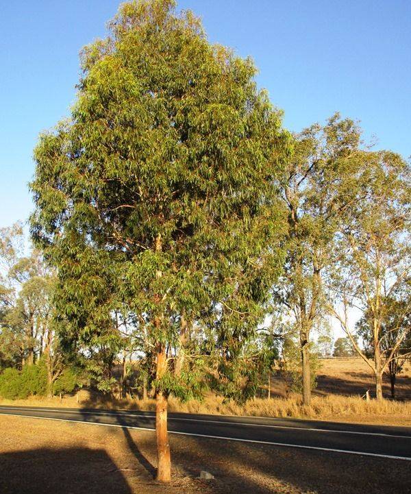 07-February-2017 07-February-2017