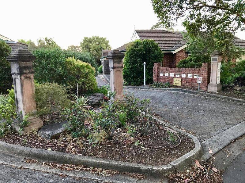 19-January-2021 19-January-2021