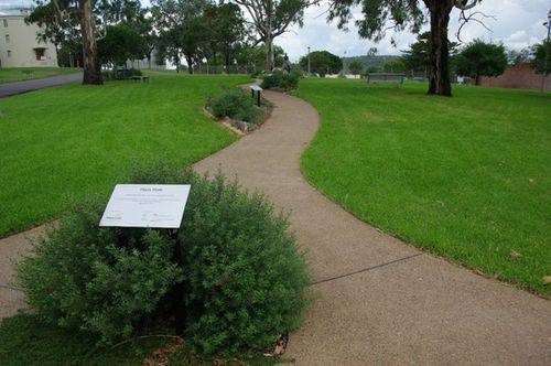 Maas Walk : July 2014
