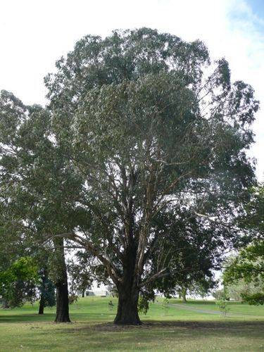 National Servicemens Memorial : 05-October-2011 National Servicemens Memorial : 05-October-2011