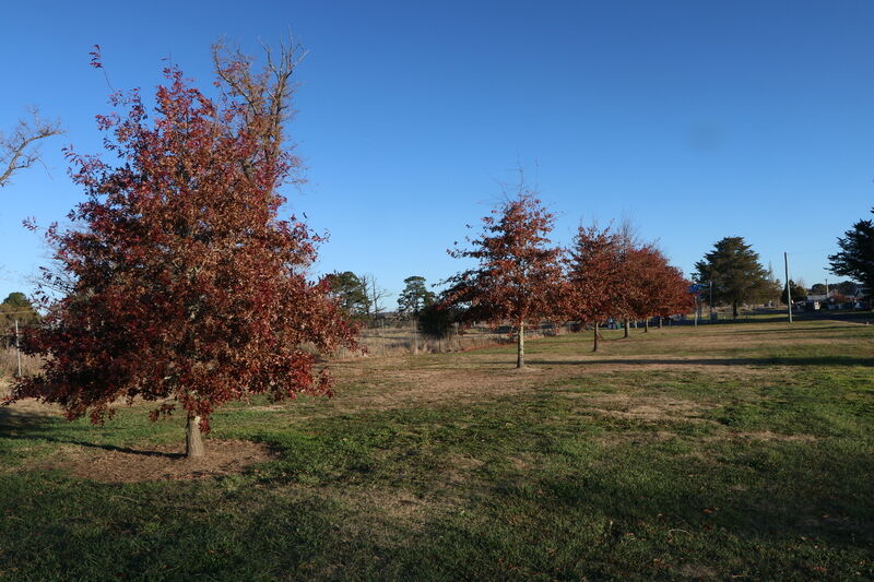 22-May-2023 (John Huth)