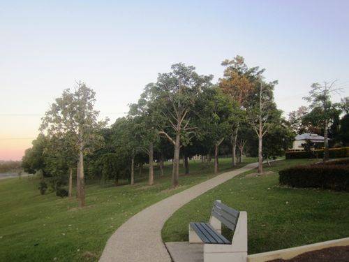 Normanby Hill Remembrance Park Trees 2 : 07-08-2013