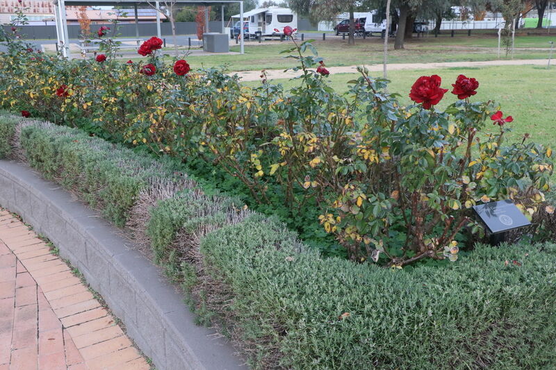 03-June-2023 (John Huth) 03-June-2023 (John Huth)