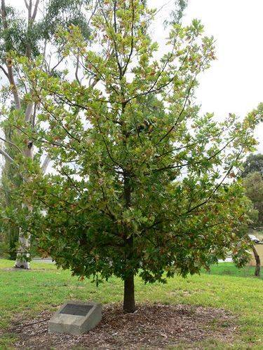 Olympic Games Medalists : 16-April-2013 Olympic Games Medalists : 16-April-2013