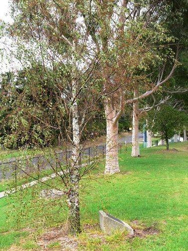 Olympic Games Medalists : 16-April-2013 Olympic Games Medalists : 16-April-2013