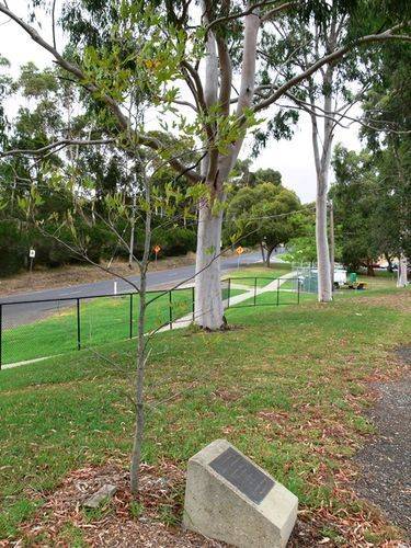 Olympic Games Medalists : 16-April-2013 Olympic Games Medalists : 16-April-2013