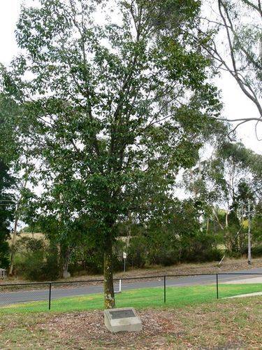 Olympic Games Medalists : 16-April-2013 Olympic Games Medalists : 16-April-2013