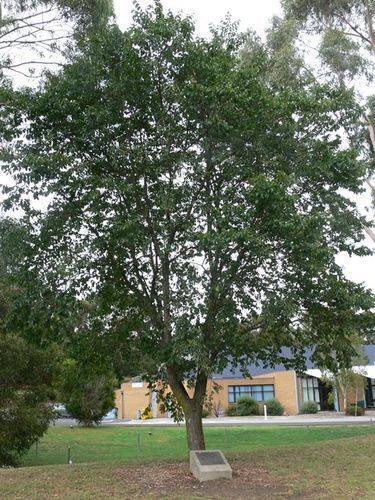 Olympic Games Medalists : 16-April-2013 Olympic Games Medalists : 16-April-2013