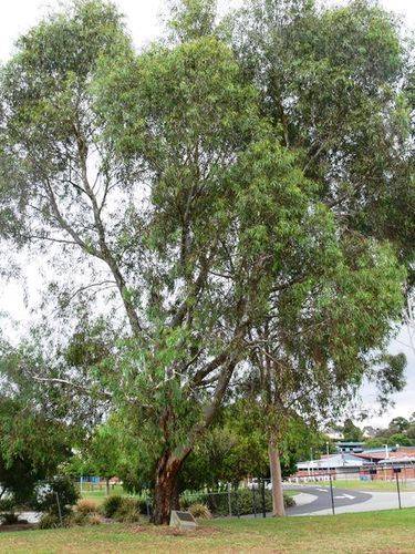 Olympic Games Medalists : 16-April-2013 Olympic Games Medalists : 16-April-2013