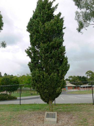 Olympic Games Medalists : 16-April-2013 Olympic Games Medalists : 16-April-2013