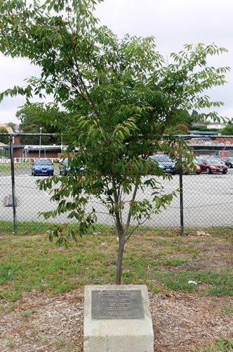 Olympic Games Medalists : 16-April-2013 Olympic Games Medalists : 16-April-2013