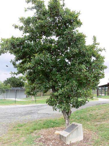 Olympic Games Medalists : 16-April-2013 Olympic Games Medalists : 16-April-2013