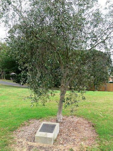 Olympic Games Medalists : 16-April-2013 Olympic Games Medalists : 16-April-2013