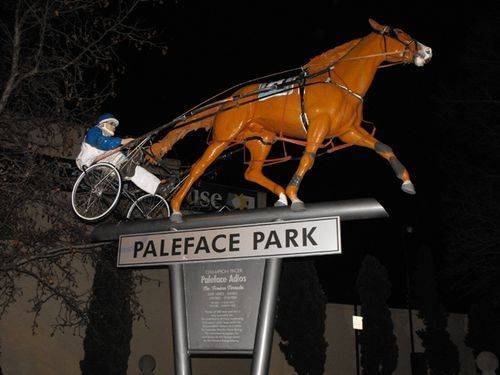 Paleface Adios
