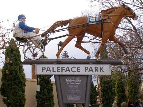 Paleface Adios : 05-August-2014